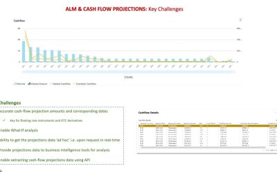 ALM and Cashflow Projections: Key Challenges